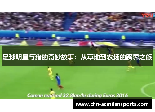 足球明星与猪的奇妙故事：从草地到农场的跨界之旅
