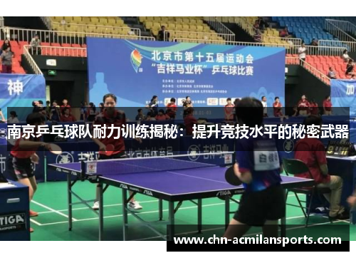 南京乒乓球队耐力训练揭秘：提升竞技水平的秘密武器