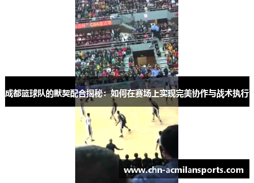 成都篮球队的默契配合揭秘：如何在赛场上实现完美协作与战术执行