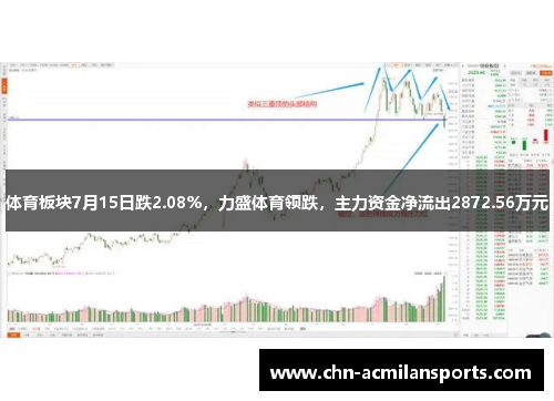 体育板块7月15日跌2.08%，力盛体育领跌，主力资金净流出2872.56万元